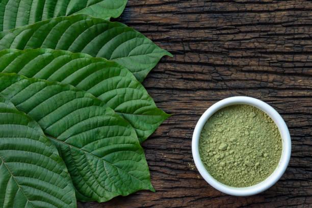 The Benefits of Premium White Maeng Da Kratom: What You Need to Know